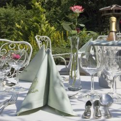 burggartenpalais-rosengarten-tisch