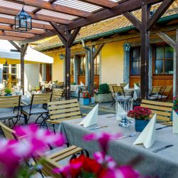 Terrasse-Burggartenpalais13